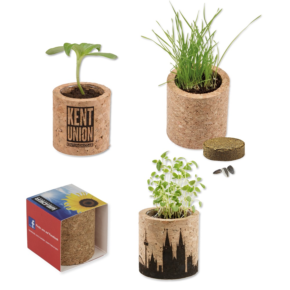 Kurken plantenset rond | Eco geschenk